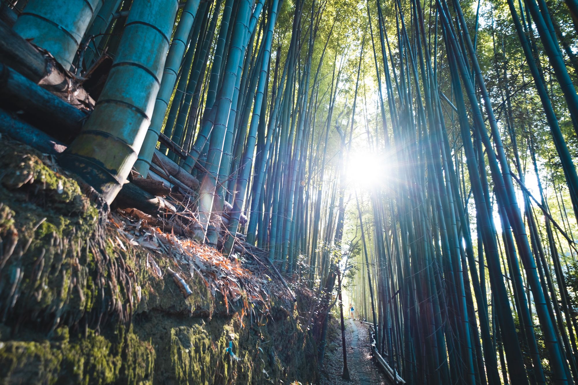 Favorite crowded places – Fushimi Inari-Taisha
