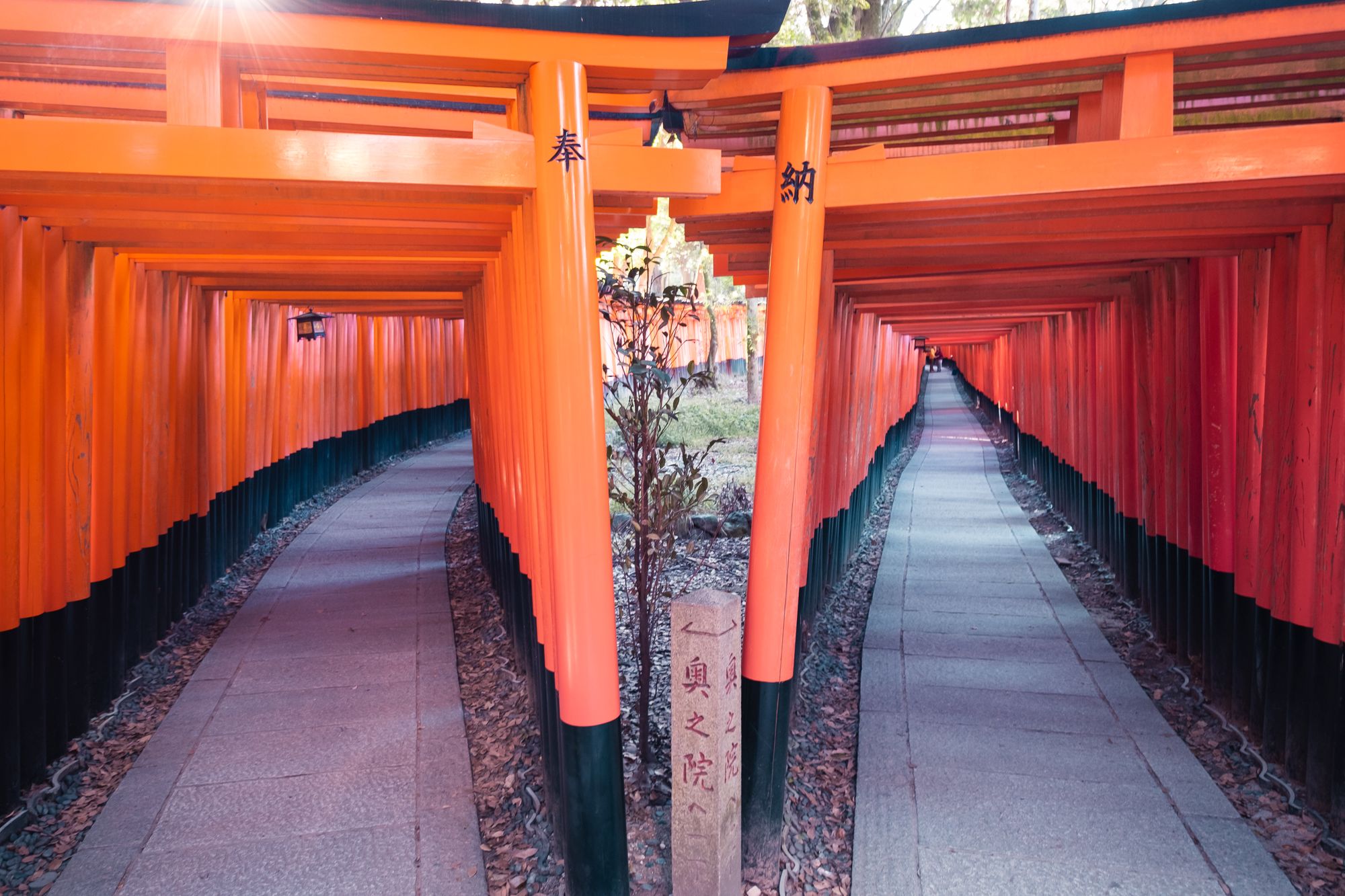 Favorite crowded places – Fushimi Inari-Taisha
